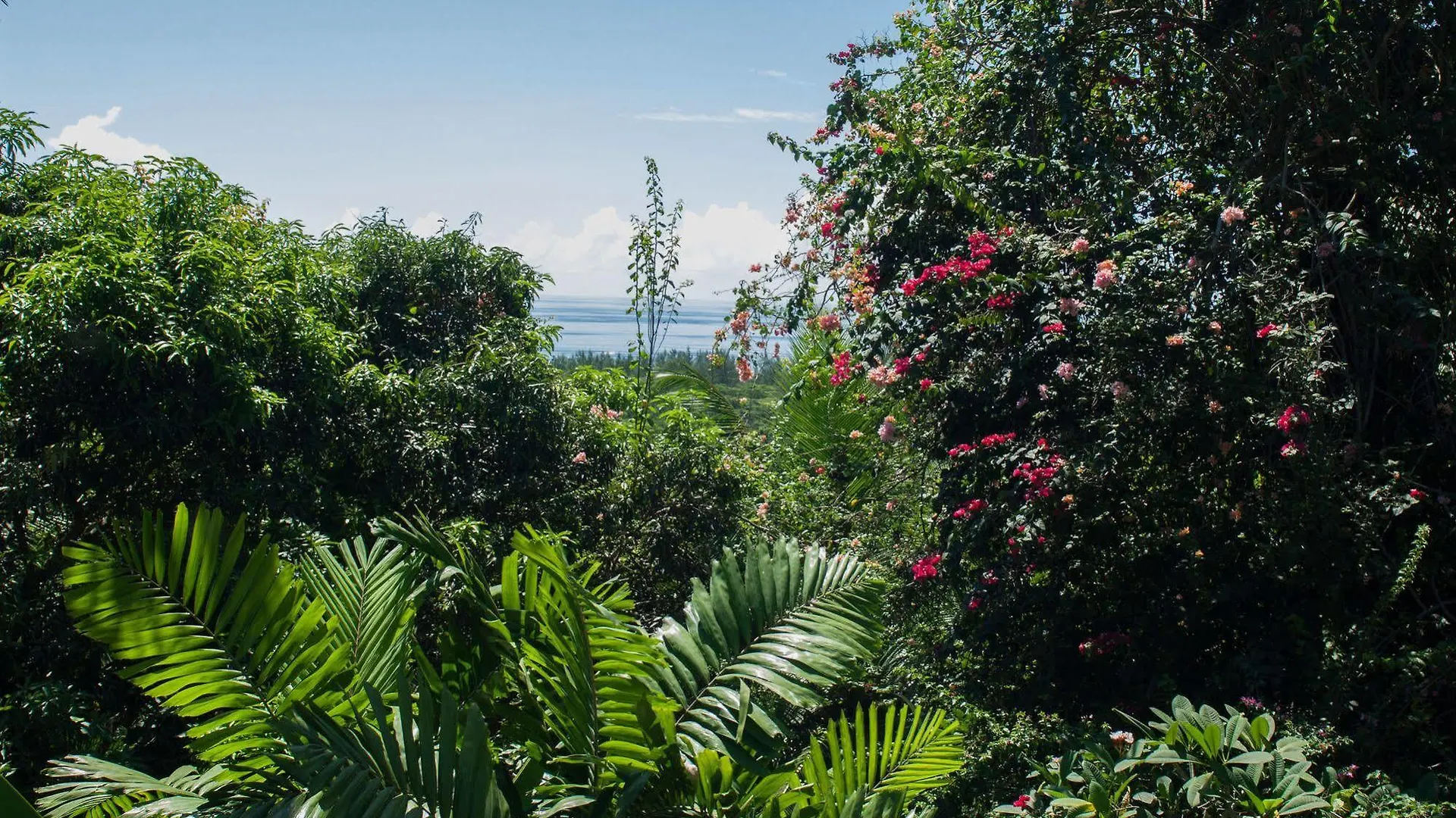 *** Hotel Le Triskell - Guest House Anse aux Pins Seychelles